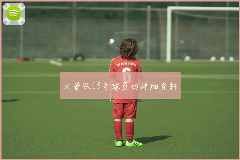 火箭队15号球员的详细资料