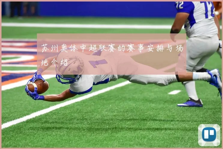 苏州奥体中超联赛的赛事安排与场地介绍