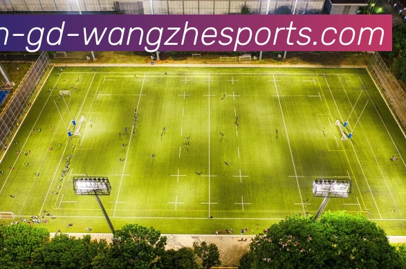 王者体育发展历程